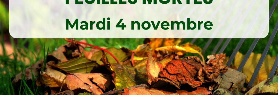 Collecte des feuilles mortes