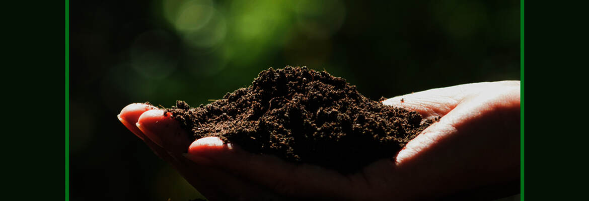 Distribution de compost