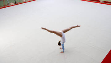 Gymnastique artistique 