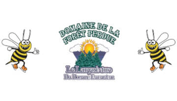 Le Domaine de la Forêt Perdue