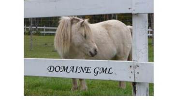 Domaine GML