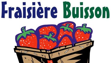 Fraisière Buisson