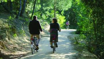 Piste cyclable