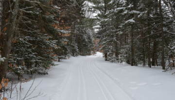 Piste de ski de fond