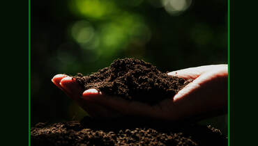 Distribution de compost